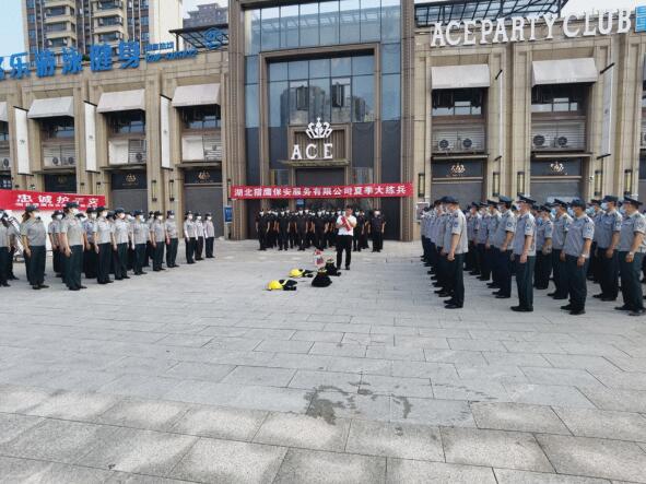 轉(zhuǎn)載：颯！酷！高溫下的襄陽街頭驚現(xiàn)一群“獵鷹”！